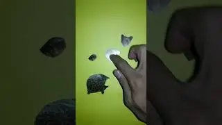Wrong head change puzzle,turtle/mencocokkan kepala hewan kura kura#shorts #short #puzzle