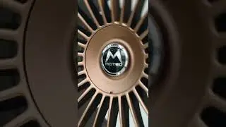 Motec MCT18-Venom | 4 Farben verf&uuml;gbar | Werk91