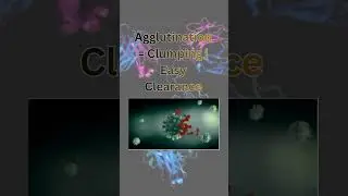 &ldquo;How Antibodies Actually Work 🧬| Mechanism of Antibody Action&rdquo;#biology #neet #yugaanacademy
