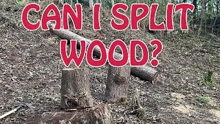 Getting more practice splitting green/wet wood.