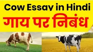 Hindi Essay Cow| हिंदी में निबंध| गाय| #studywarrior #cow #shabkhan