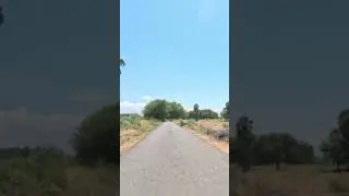 Village Roads in Tamil Nadu 💥 #tamilnadu #tamil #southindia #india #incredibleindia #roads #roads4k