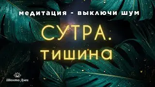 Как ВЫКЛЮЧИТЬ мысленный шум. Медитация тишины