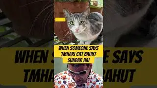 When someone says your cat is beautiful #cat #reels #memes #cute #shorts #comedy #viralvideo #new