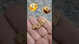 &iexcl;As&iacute; se ve una pepita de ORO de 20 gramos!
