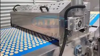 High-quality Soft Biscuit Production Machine|SKYWIN