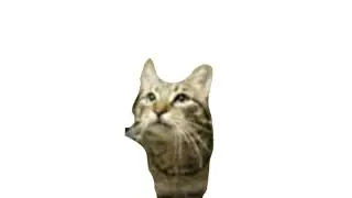 (MeowSynth) Mr Sandman