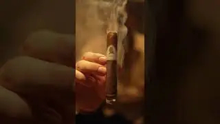 Davidoff Winston Churchill Robusto.