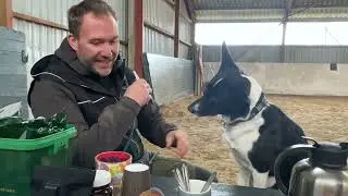 🐶  NEGLEKLIP 💅 - sådan lærer du din hund at få klippet negle 🐶