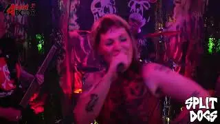 SPLIT DOGS : And WHAT ? - Live at 44NextDoor Stream stage