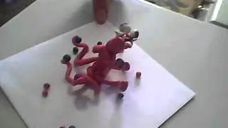 dodonya