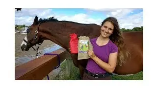 Betty's Strip Hair: Horse Grooming Tool Demo