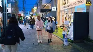 4K HDR Japan travel 2026 | Walk in Jiyugaoka（自由が丘）Tokyo Japan | City ambience Nature for relaxing