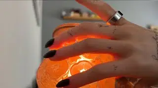 Making my first Ofrenda for pets day of the dead today! 