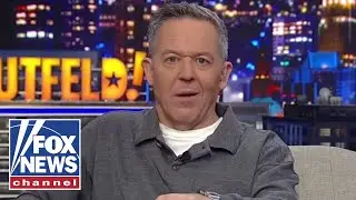 Greg Gutfeld: This is so moronic, I almost admire it