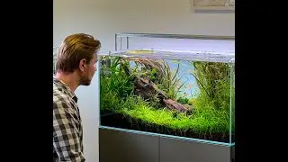 'Green Stream' Aquascape for Aquarium Gardens