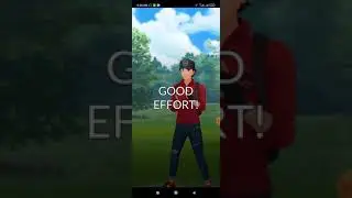 Nangkap Pokemon Langka di sawah belakang Rumah