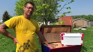 Installing Honey Bees into a Top Bar Hive