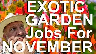 Tropical Gardens UK:  Exotic Garden Maintenance Jobs for November