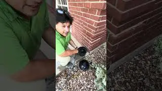 How to set up a mosquito trap