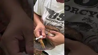 How to give injections in chicken ll injection in chicken ll intramuscular injection in hen