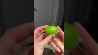 Have You Ever Tried Feijoa?!