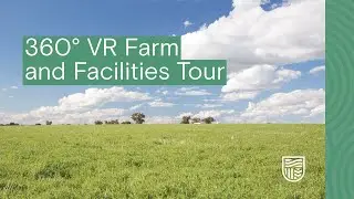 Welcome to the Charles Sturt University sheep yards
