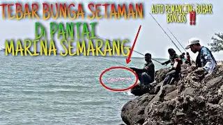 PERDANA MANCING DI PANTAI MARINA SEMARANG