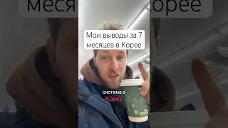 Конец иллюзий. Мои выводы за 7 месяцев.