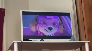Summer movie on vacation with exploring (61/421)
