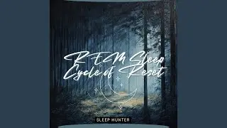 Find Balance with REM Sleep