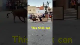 How To Escape A Raging Bull 😨 #shorts #bull #ytshorts