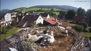 Loud Czech fire department response scares storks