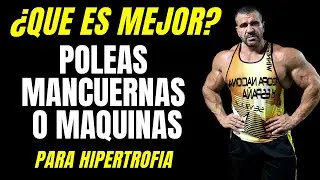 Poleas, mancuernas y maquinas