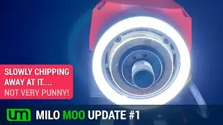 Milo Moo Update 1