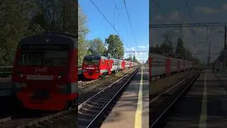 Электропоезд ЭД4М-0443 &laquo;Молодежный&raquo; прибывает на платформу Суйда #электропоезд #поезд #ржд #питер