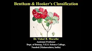 Bentham & Hookers Classification System