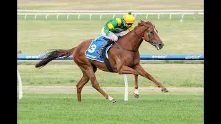 Regal Zeus Wins Lord Stakes