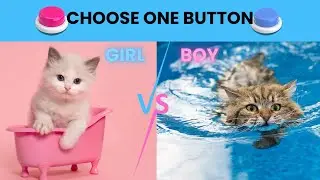 choose one button: girl vs boy edition🎁