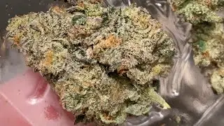 Jungle boys (smackerz) thc 30% 3.2 terps HAPPY 420