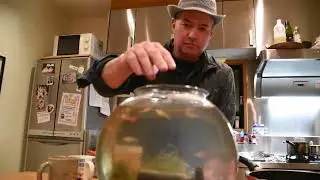 The Secret Life of Men in Blue Hats