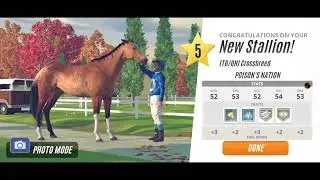 Breeding the perfect champion sprinter [part1] Rival Stars Horse Racing Mobile