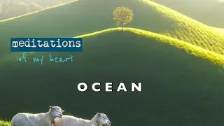 WEDNESDAY MEDITATIONS &bull; terry butler &bull; 2021 vineyard pomona resources