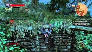 Witcher 3 Lifting Morkvarg's curse