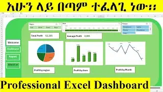 ኤክሴል ዳሽቦርድ/ ለስራ ወሳኝ እና ብር የሚያስገኝ / How to Create Dashboards in Excel