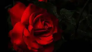Me parler avec respect