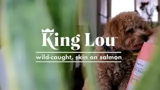 King Lou single-ingredient Super Treats: wild-caught, skin on salmon