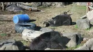 Rowan Wildlife Adventures