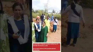 ಹಸಿರು 