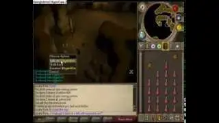 runescape monkey maddnes killing jungle demon with 31 prayer